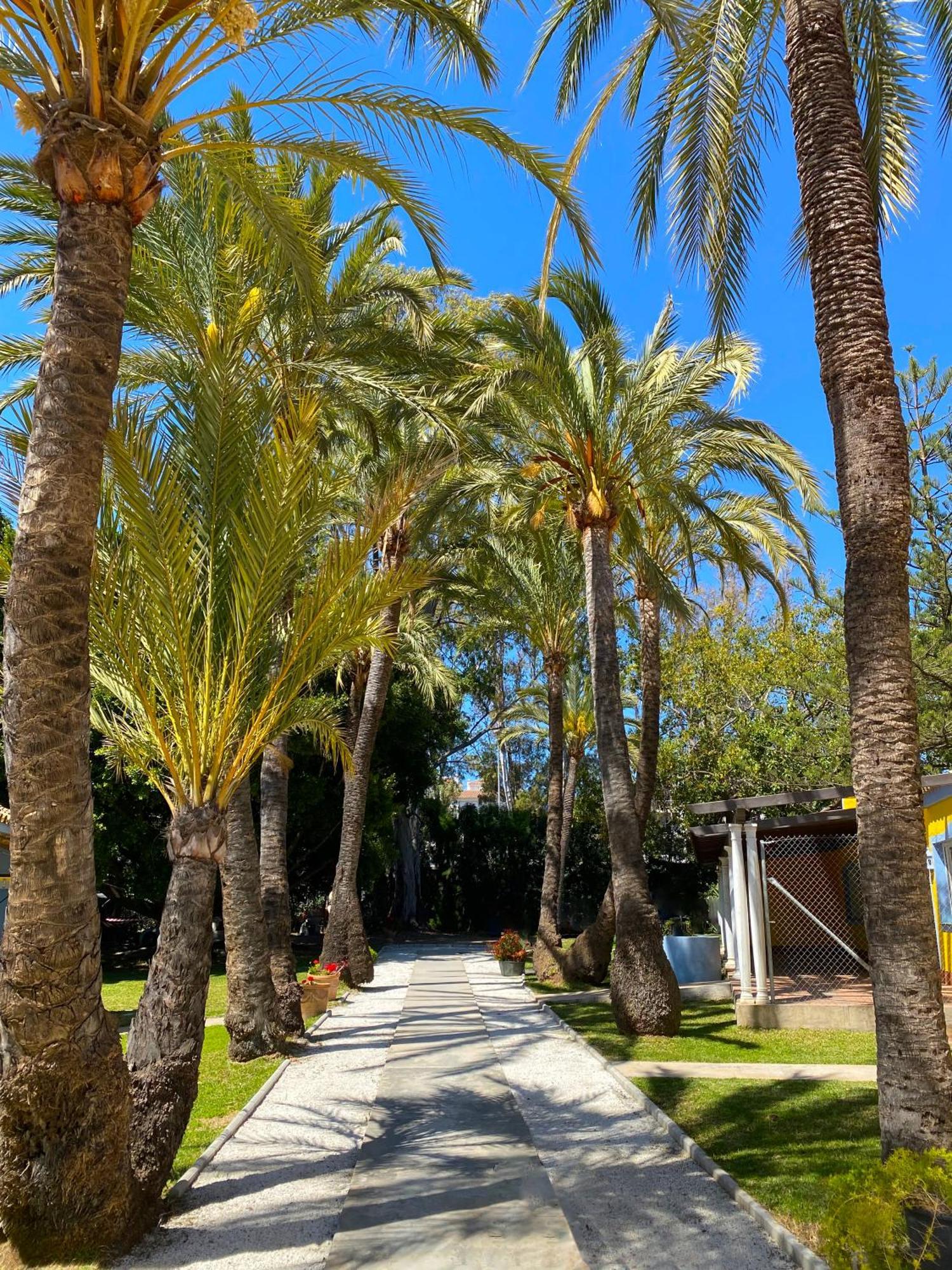 Cortijo La Saleta Banus Apartment Marbella Exterior photo